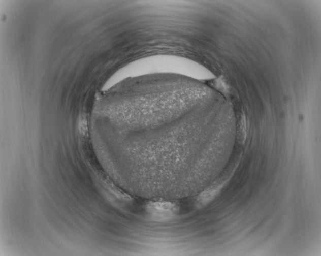 X0000085800137200704131930