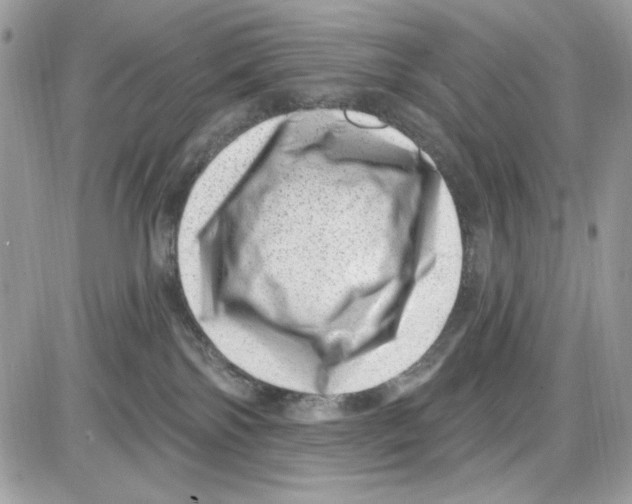 X0000085800138200704131930