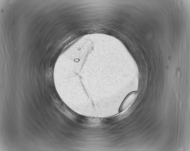 X0000085800144200704131930