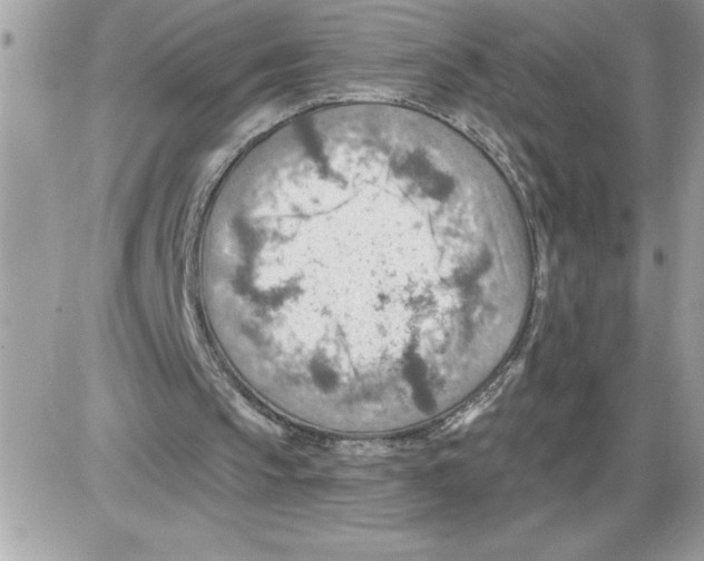 X0000085800145200704131930