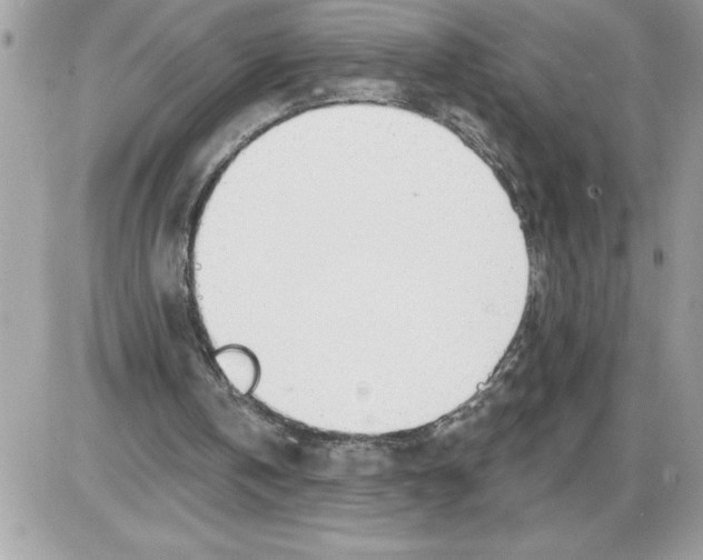 X0000085800146200704131930