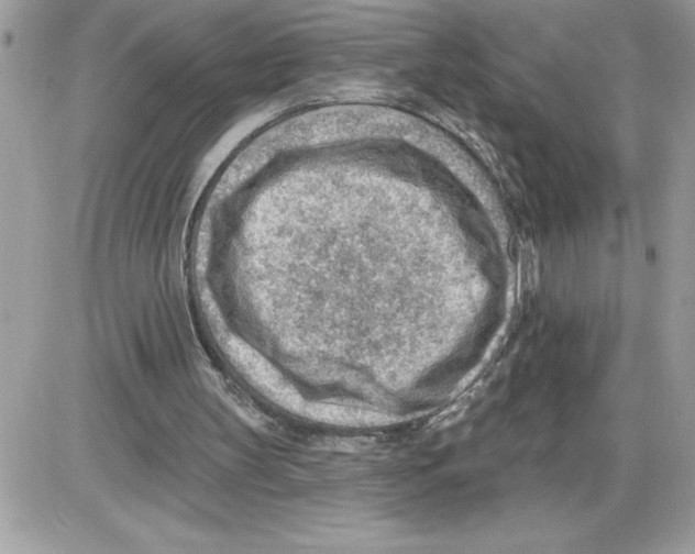 X0000085800147200704131930