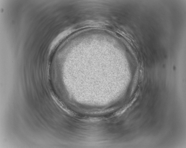 X0000085800149200704131930