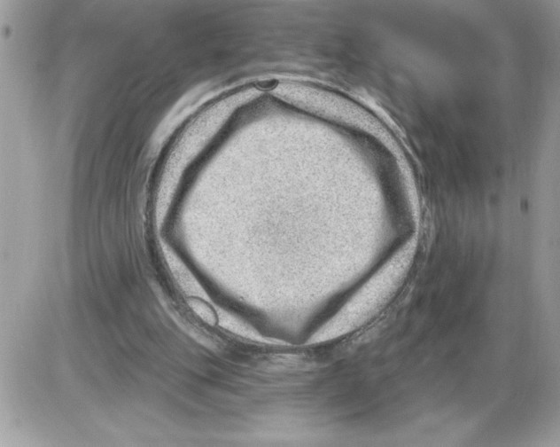 X0000085800151200704131930