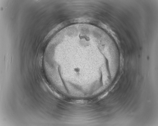 X0000085800153200704131930