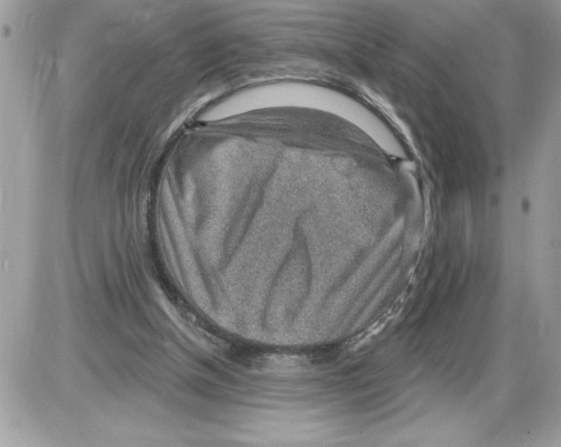 X0000085800154200704131930