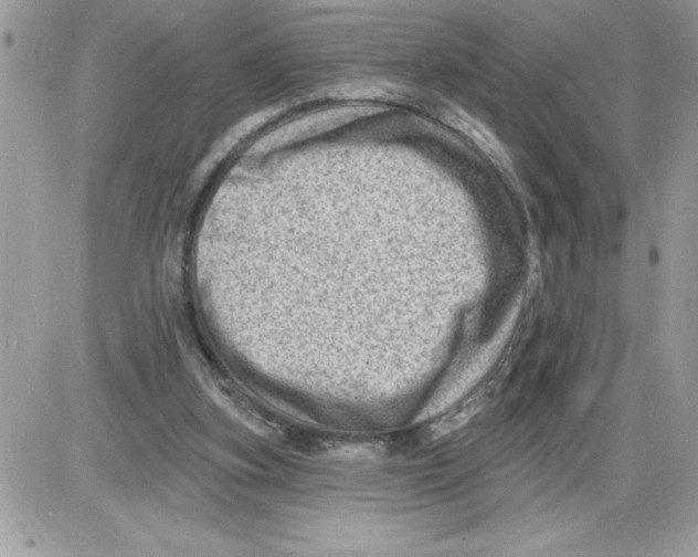 X0000085800155200704131930