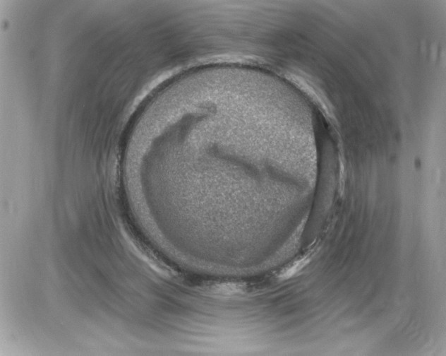 X0000085800156200704131930