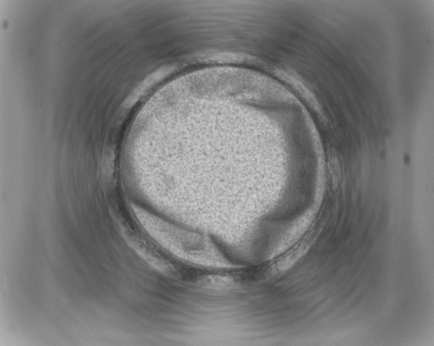 X0000085800159200704131930