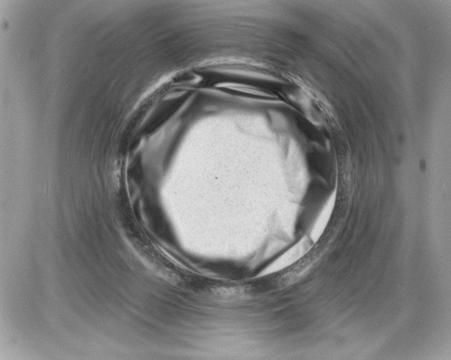 X0000085800160200704131930