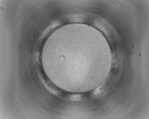 X0000085800162200704131930