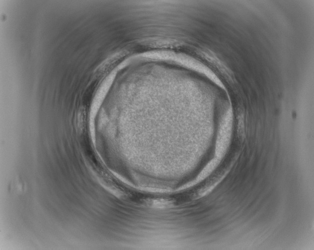 X0000085800165200704131930