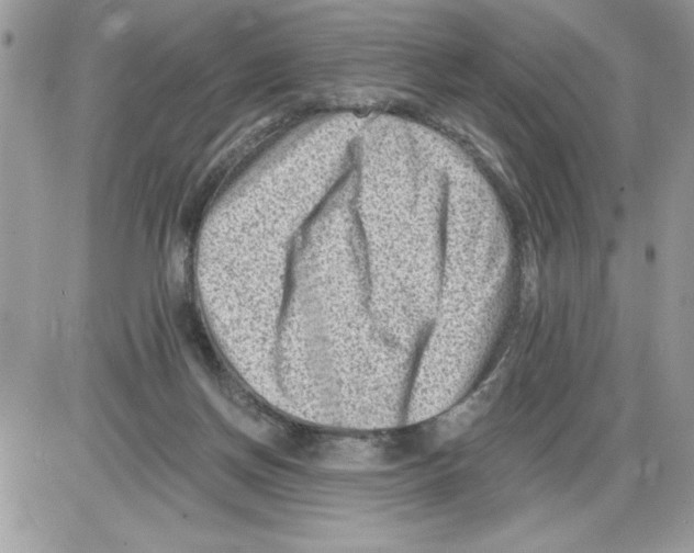 X0000085800166200704131930