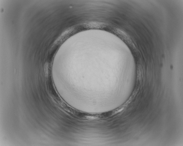 X0000085800167200704131930