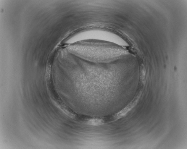 X0000085800168200704131930