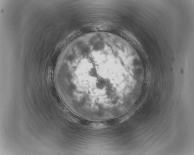 X0000085800169200704131930