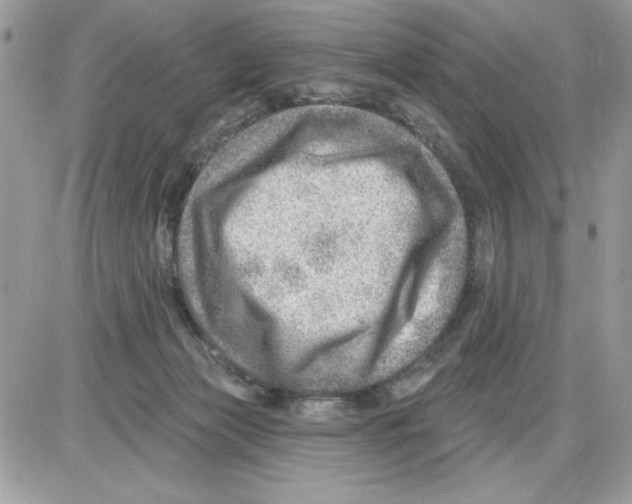 X0000085800173200704131930