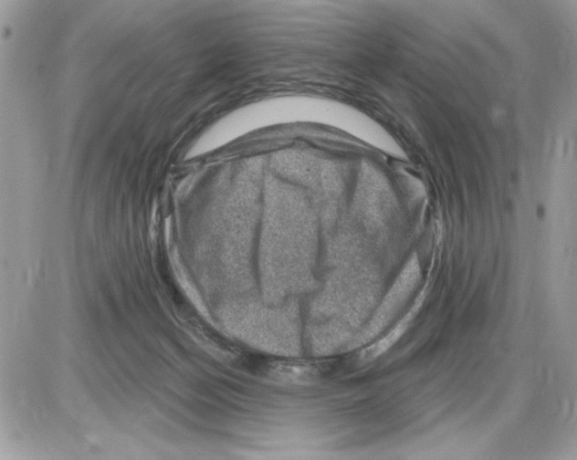 X0000085800174200704131930