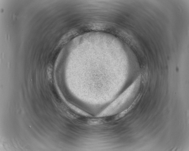 X0000085800175200704131930