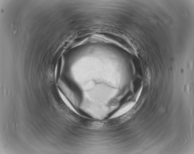 X0000085800176200704131930