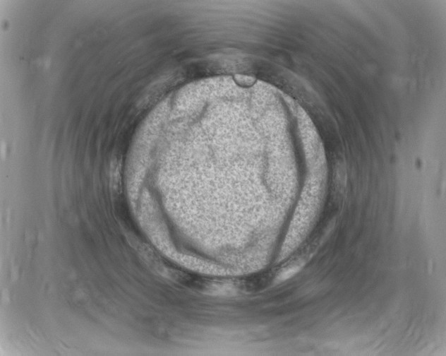 X0000085800177200704131930