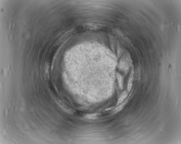 X0000085800178200704131930