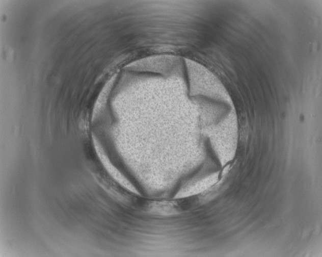 X0000085800179200704131930