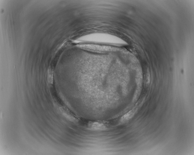 X0000085800180200704131930