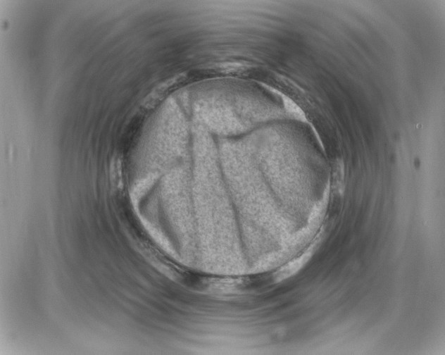 X0000085800182200704131930