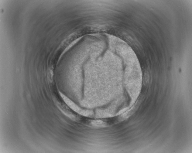 X0000085800183200704131930