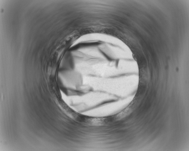 X0000085800184200704131930