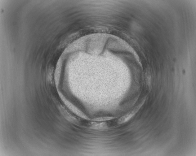 X0000085800185200704131930