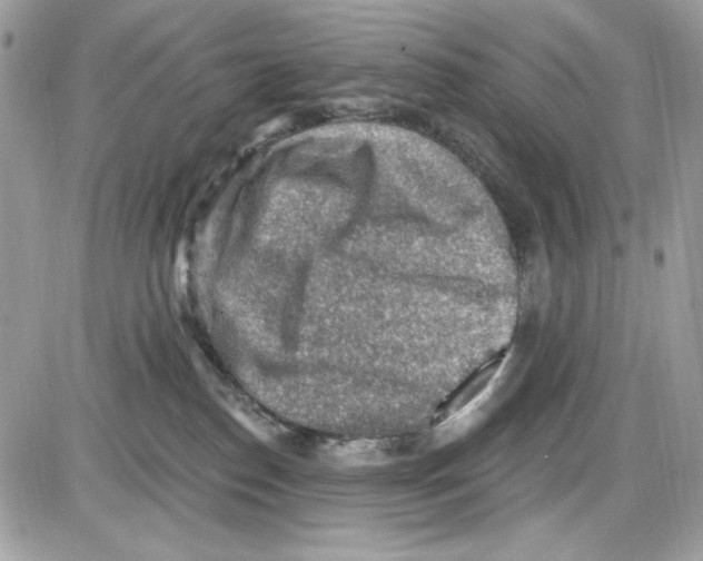 X0000085800186200704131930