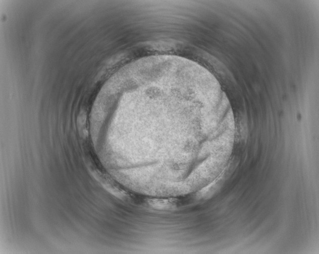 X0000085800187200704131930