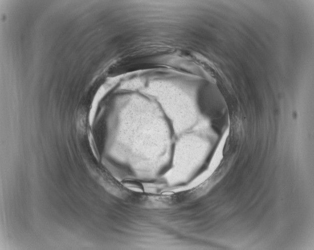 X0000085800188200704131930