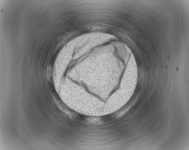 X0000085800189200704131930