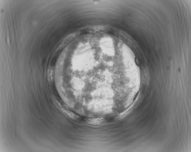 X0000085800191200704131930