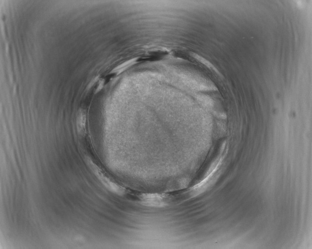 X0000085800192200704131930