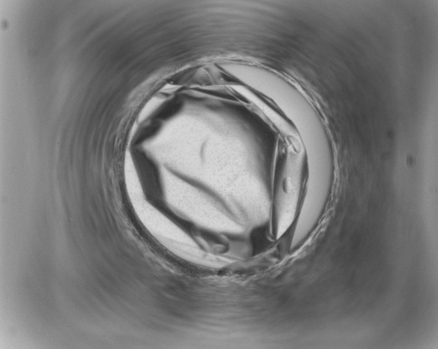 X0000085800193200704131930