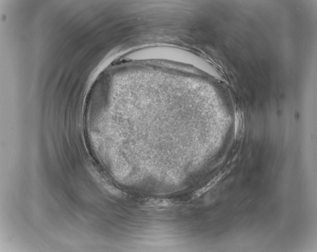 X0000085800195200704131930