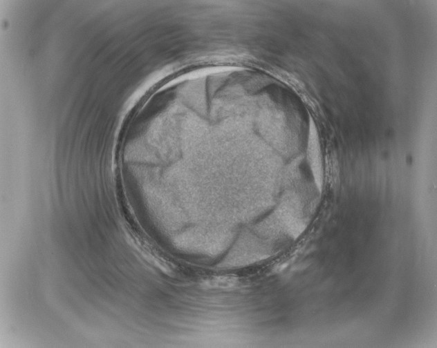 X0000085800196200704131929