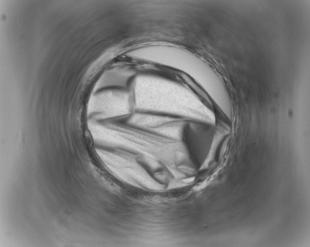 X0000085800197200704131929