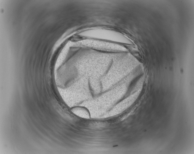 X0000085800198200704131929