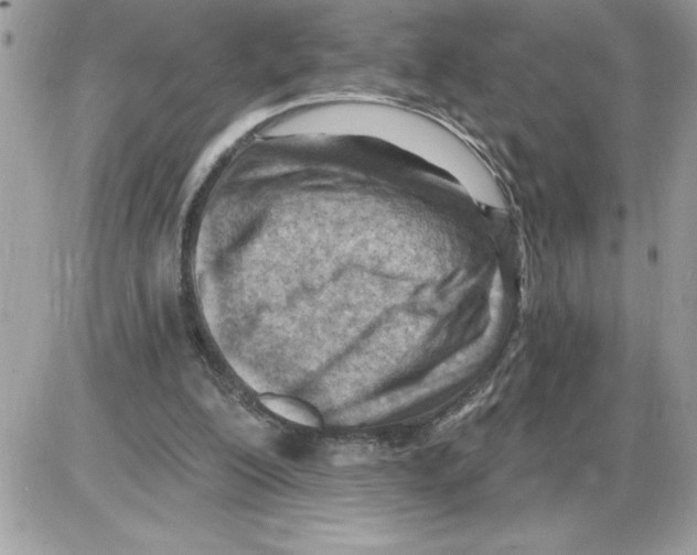 X0000085800200200704131929