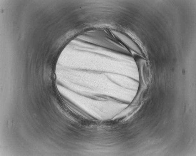 X0000085800201200704131929