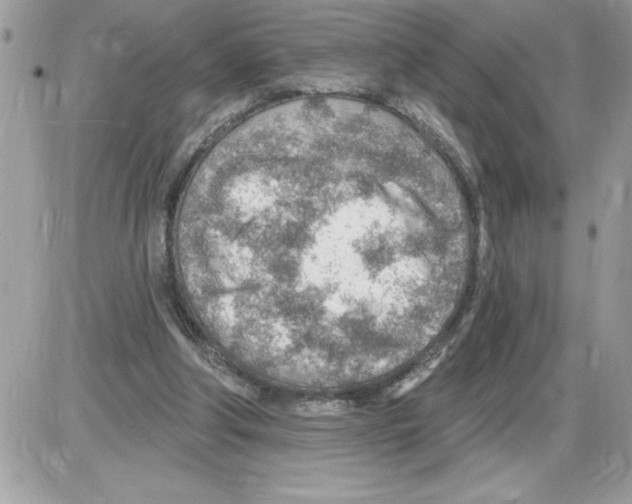 X0000085800202200704131929