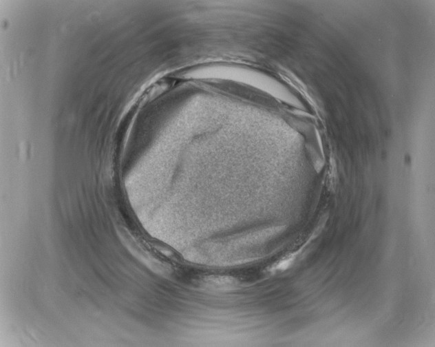 X0000085800203200704131929