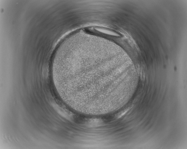 X0000085800204200704131929