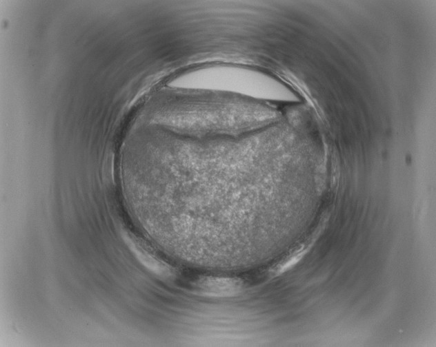 X0000085800205200704131929