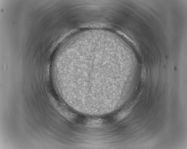 X0000085800206200704131929